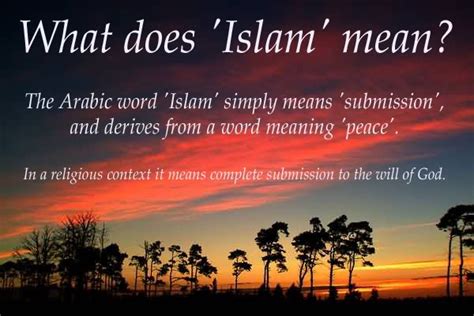 Understanding the Concept of “Bayan” in Islam .